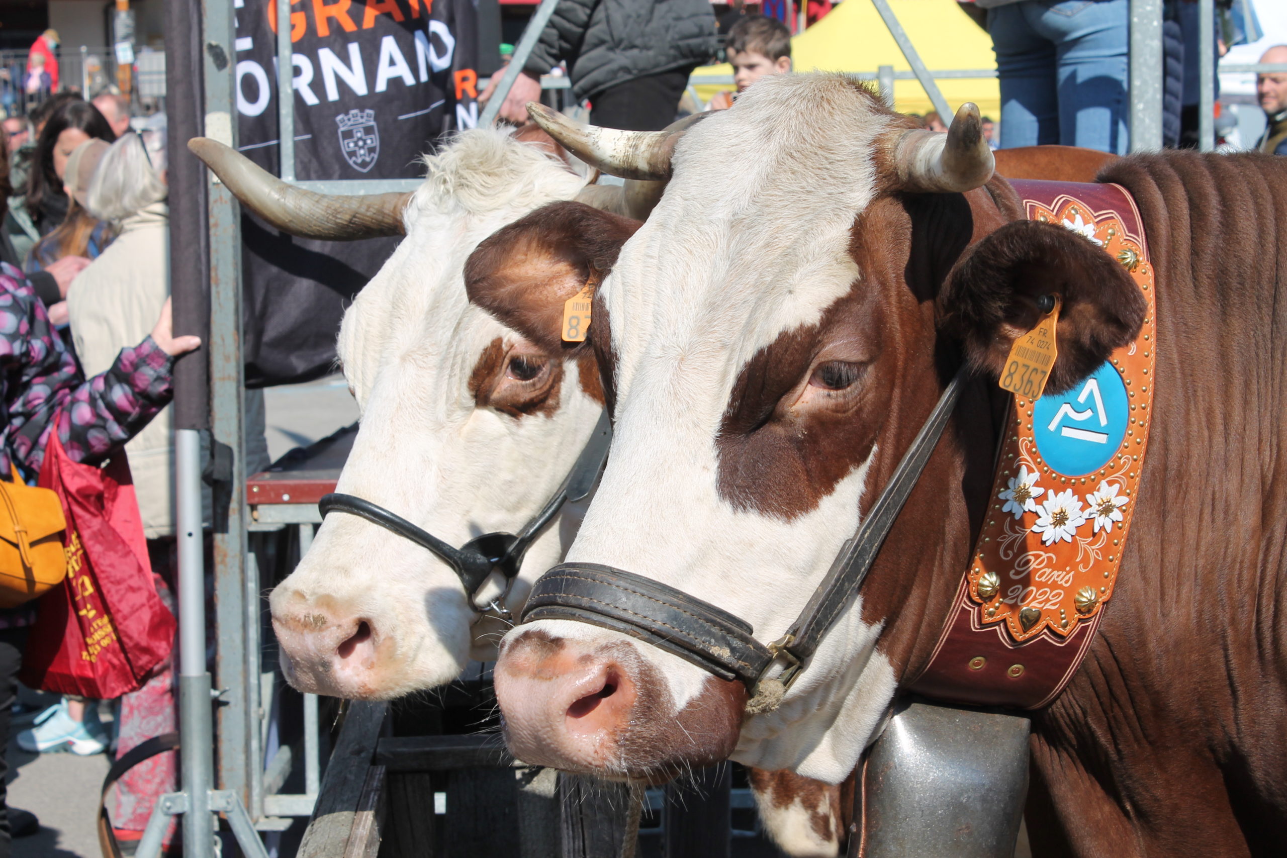 Retour du Salon International de l'Agriculture