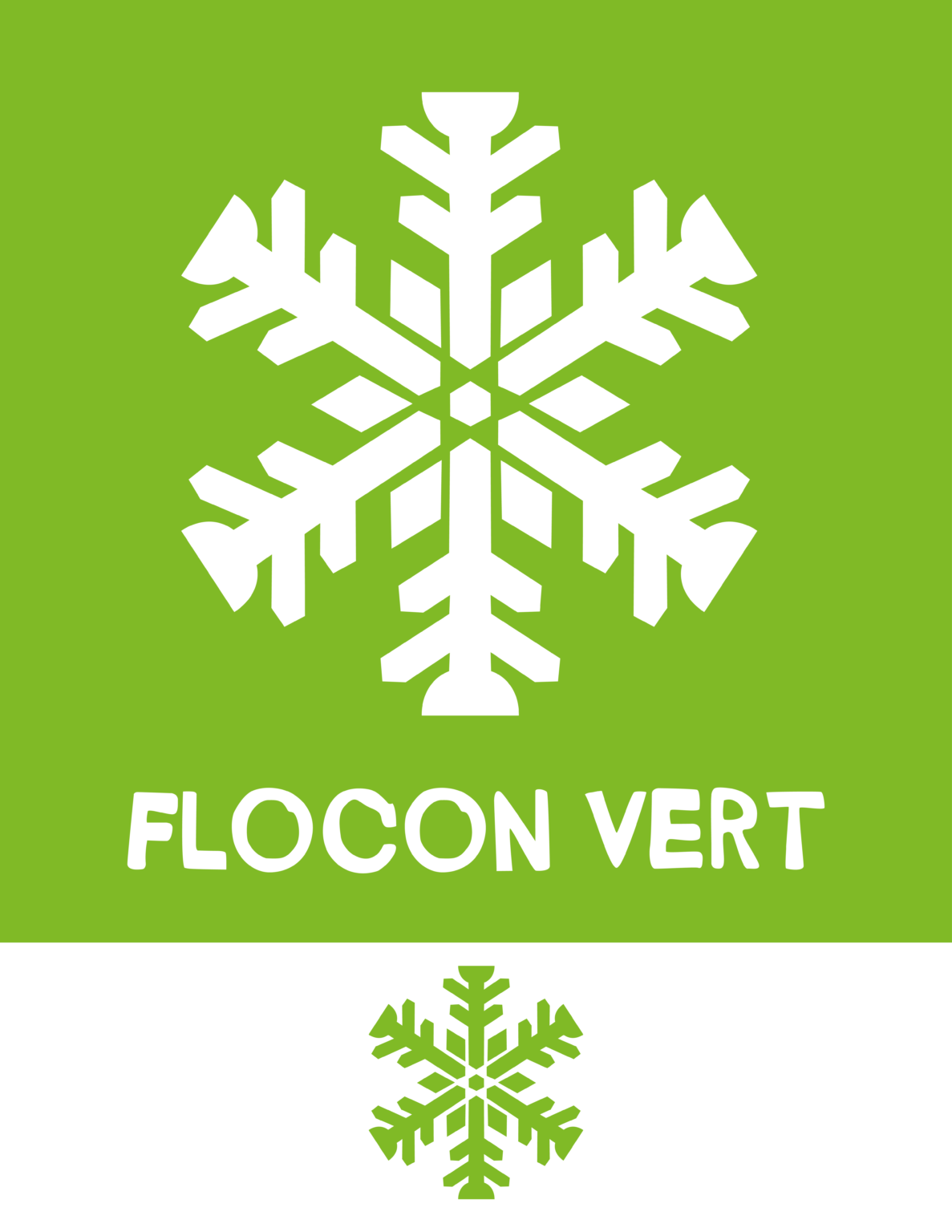Logo Flocon Vert
