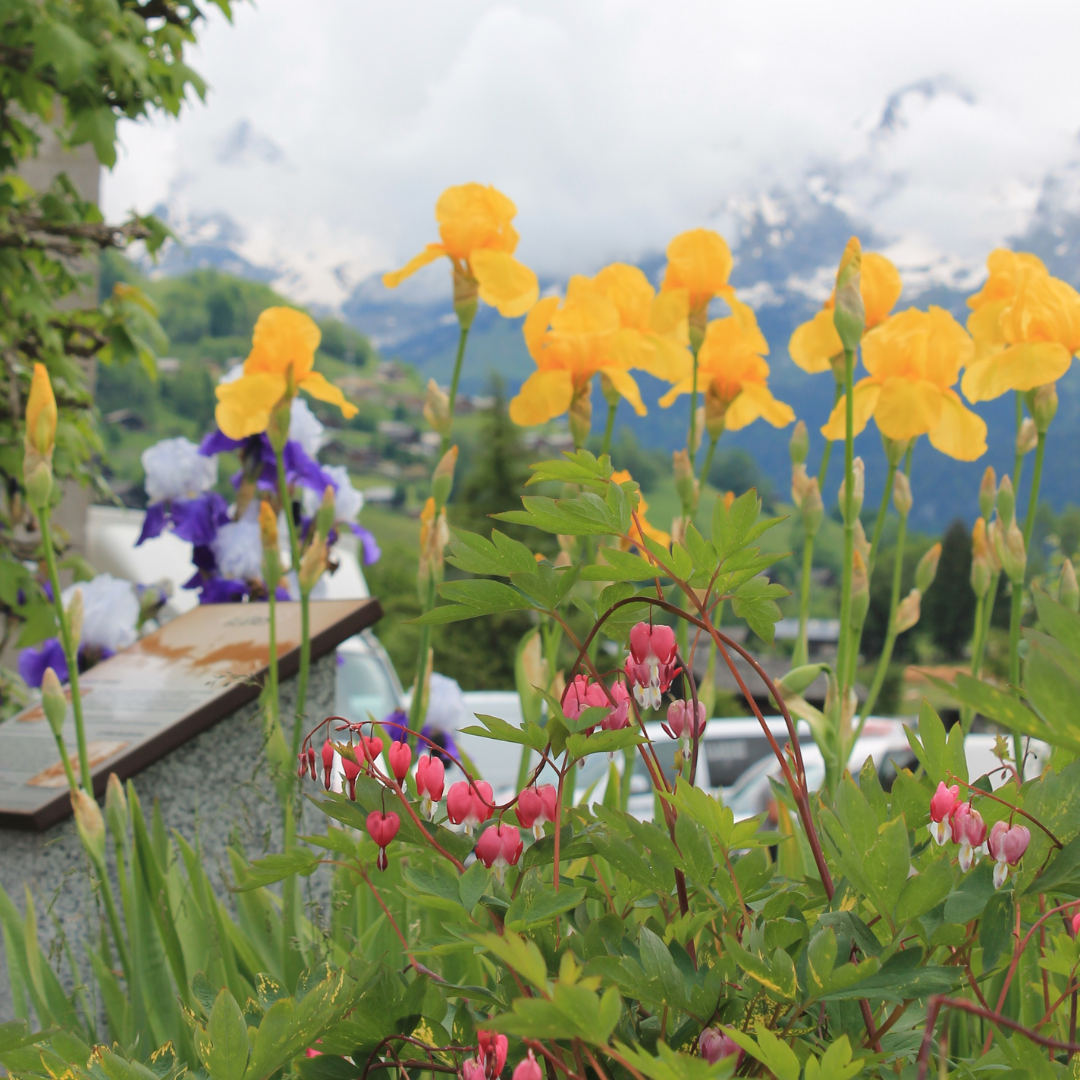 https://www.mairielegrandbornand.com/wp-content/uploads/2025/05/Fete-de-la-nature-2024-2025.png